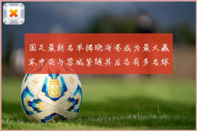 国足最新名单揭晓海港成为最大赢家申花与蓉城紧随其后各有多名球员入选